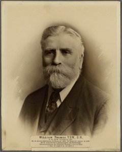 William Thomas, Y.S.W., U.H a fu farw Tachwedd 1915 (5449767)