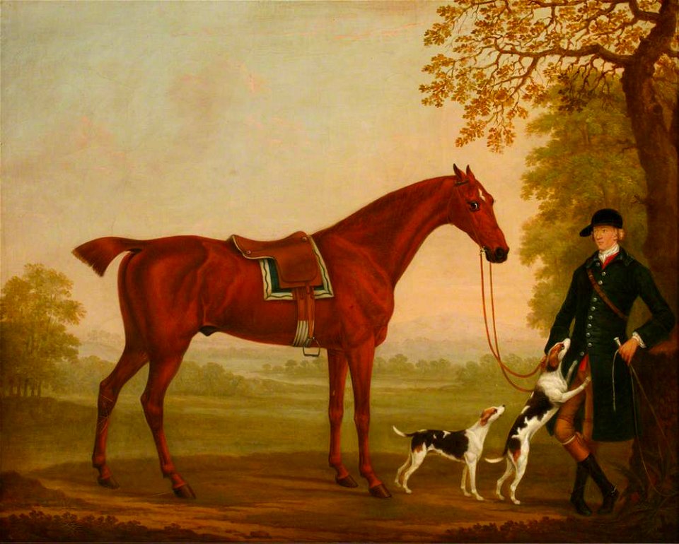 William Shaw (d.c.1772) - A Bay Horse in a Landscape, with his Groom and Two Hounds - 138312 - National Trust