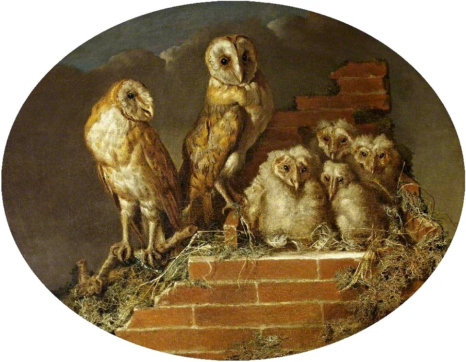 William Tomkins (c.1732-1792) - Barn Owls with Their Brood - 732179 - National Trust