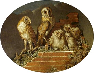 William Tomkins (c.1732-1792) - Barn Owls with Their Brood - 732179 - National Trust