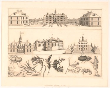Williamsburg, Virginia, ca. 1740 LCCN2012649731