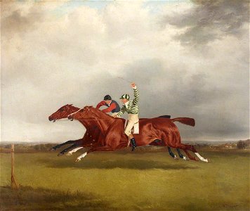 William Shayer (1787-1879) - Horse Race between Mr T. Cosby's 'Copper Captain' and Lord Lichfield's 'Minster', October 1833 - 515757 - National Trust