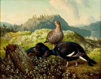 Wright Ferdinand Black Grouses 1872