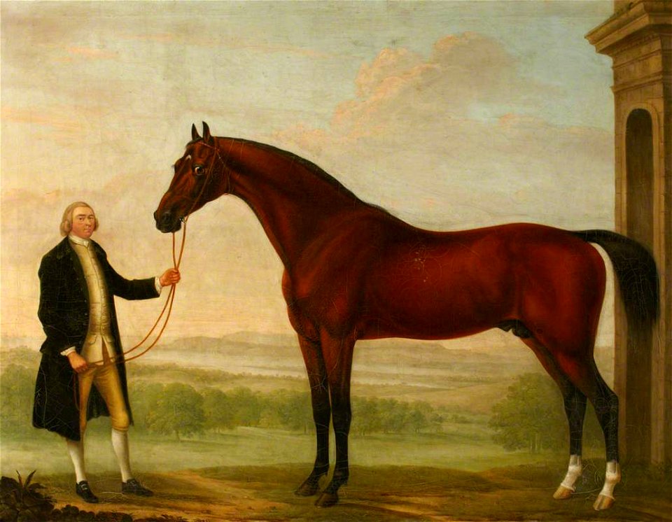 William Shaw (d.c.1772) - A Bay Hunter Held by its Owner - 138313 - National Trust