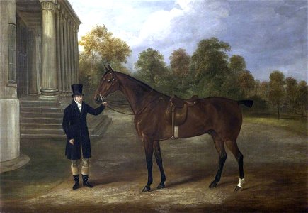 William Webb (1790-1856) - A Groom and a Bay Hunter Outside Shugborough - 1271079 - National Trust