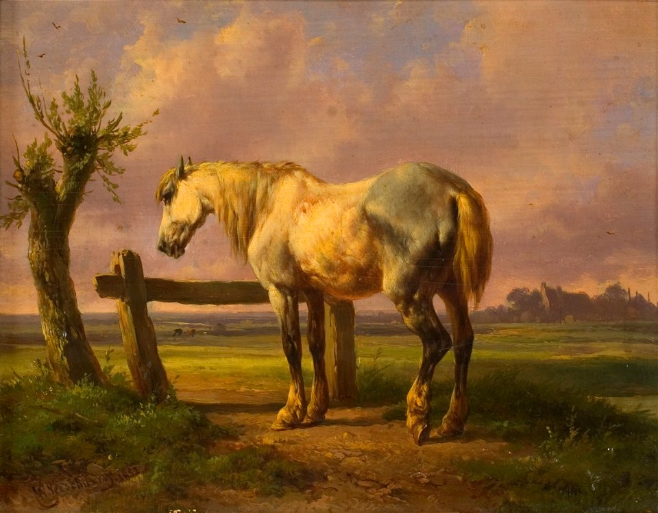 Wouterus Verschuur - Schimmel in weide - 0136 - Rijksmuseum Twenthe