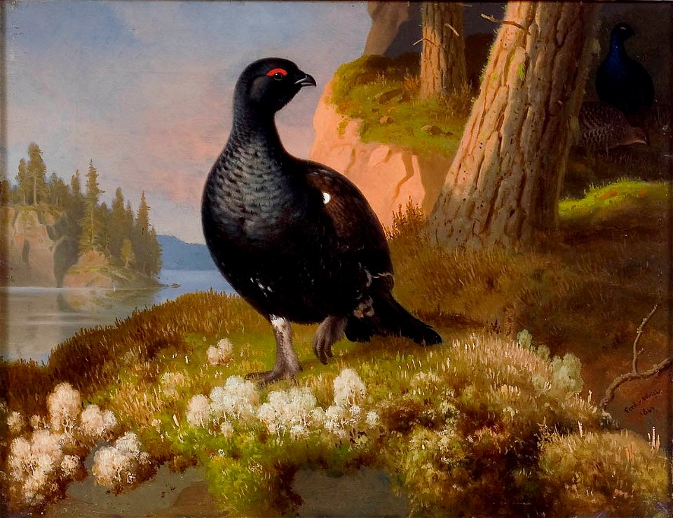 Wright Ferdinand Black Grouses 1864