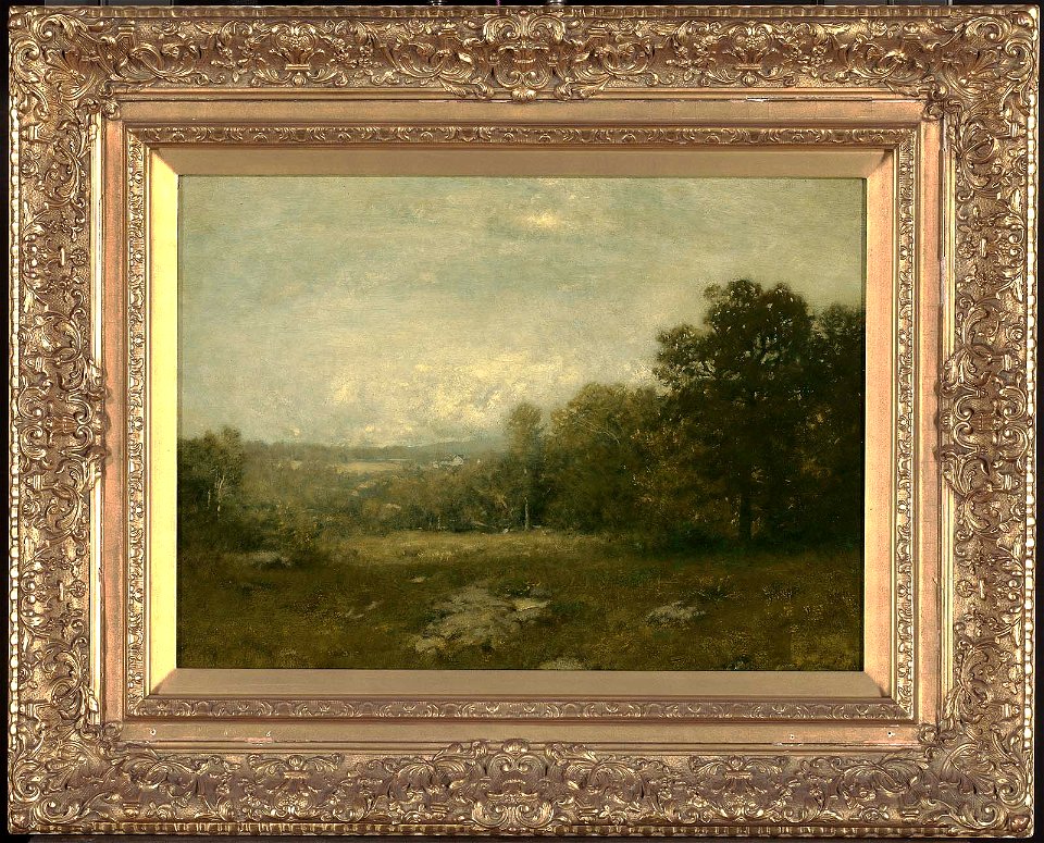 Alexander Helwig Wyant - A Gray Day - 34.130 - Museum of Fine Arts