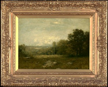 Alexander Helwig Wyant - A Gray Day - 34.130 - Museum of Fine Arts