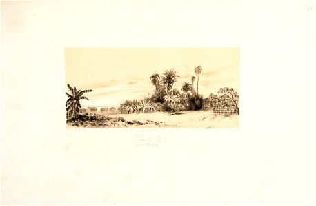 Xingú. Xingú unnvit der Mündung, Stromaufnvarts geschen den 1ten. December 1842-Veiros Stromaufnvarts geschen den 1te. December 1842-Ilha Roxa, in der Mündung des Maxipaná den 1ten, da Coleção Brasiliana Iconográfica