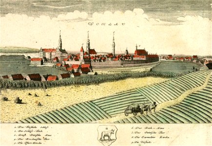 Wołów, 1737