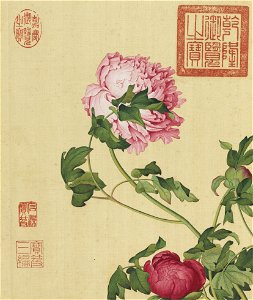 Xian'e Changchun Album 01
