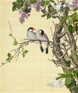 Xian'e Changchun Album 05