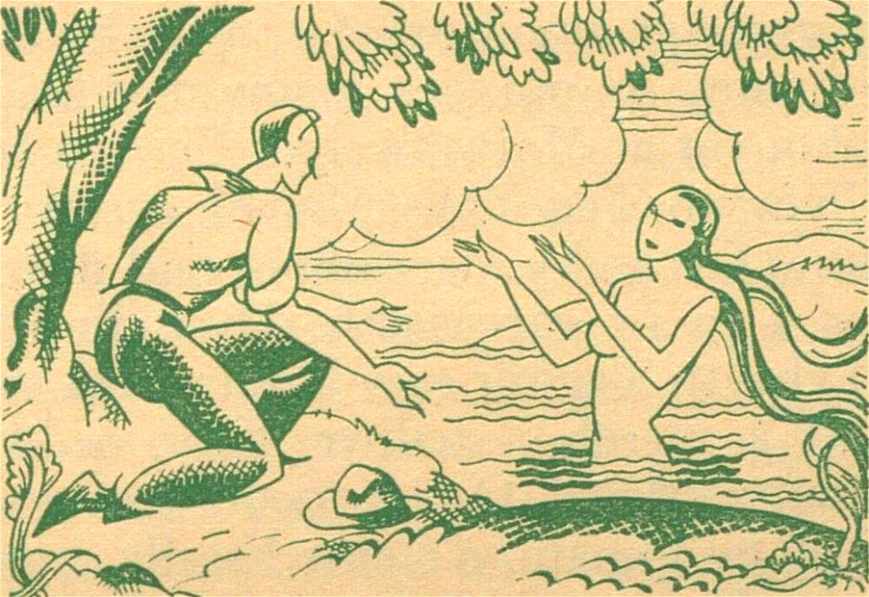 Y Tylwyth Teg illustration 5