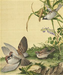 Xian'e Changchun Album 07