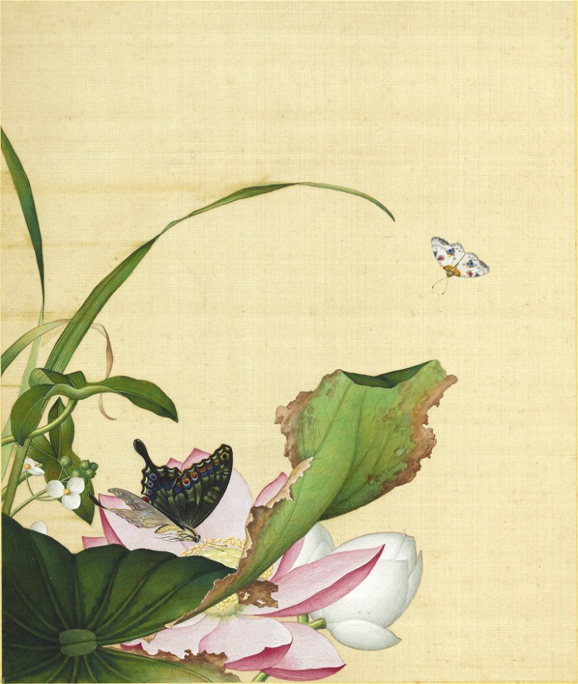 Xian'e Changchun Album 06