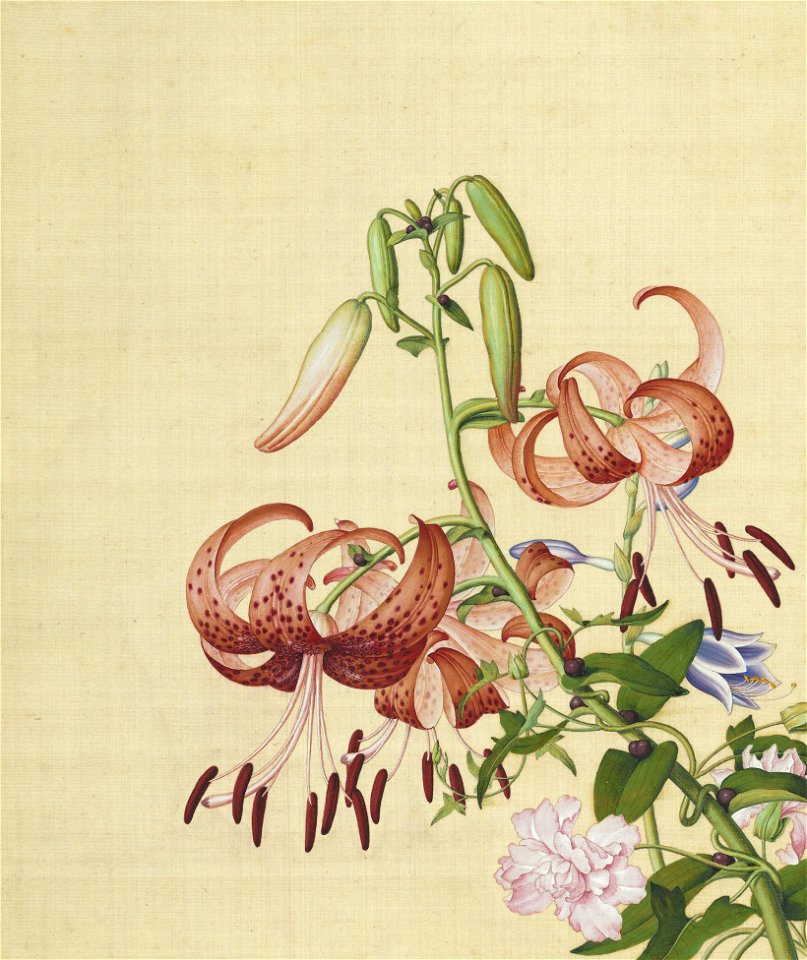 Xian'e Changchun Album 15