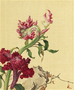 Xian'e Changchun Album 10