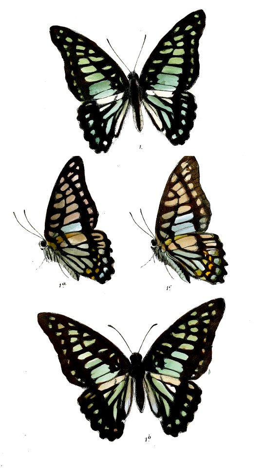 ZetidesChiron 469