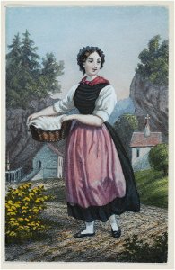 Zentralbibliothek Solothurn - Trachtenbild - a0079