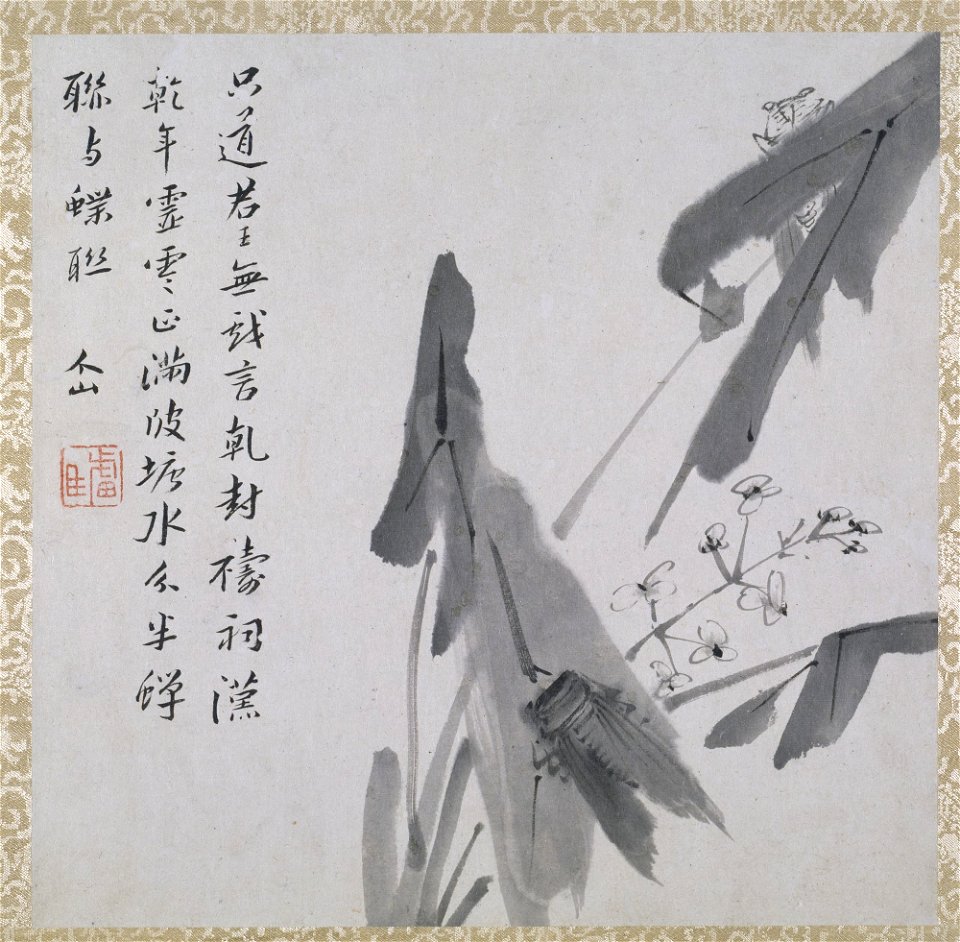 Zhu Da 朱耷 - Spray of Water Weed and Two Insects - y1963-39 d - Princeton University Art Museum