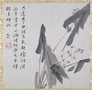 Zhu Da 朱耷 - Spray of Water Weed and Two Insects - y1963-39 d - Princeton University Art Museum