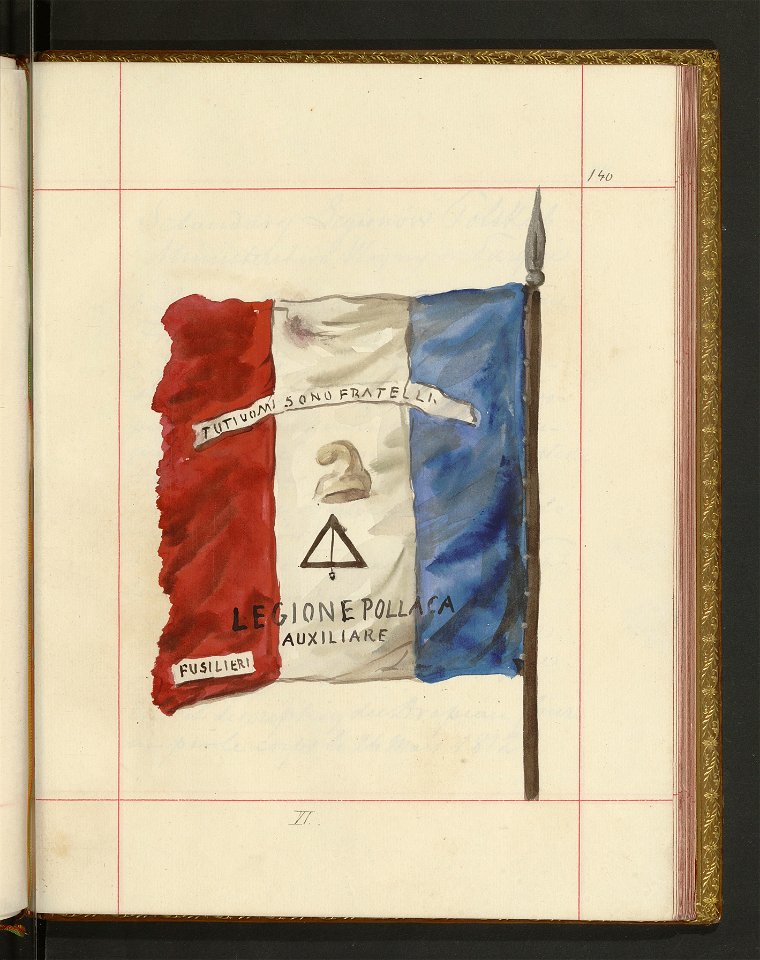 Bron zaczepna i odporna w Polsce. T. 4, Pasy lite, ozdoby, choragwie i proporce 1875-1900 (96515135)