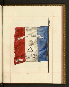 Bron zaczepna i odporna w Polsce. T. 4, Pasy lite, ozdoby, choragwie i proporce 1875-1900 (96515135)