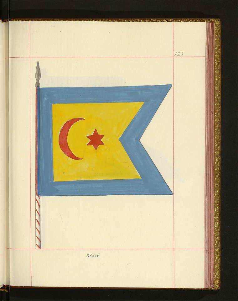 Bron zaczepna i odporna w Polsce. T. 4, Pasy lite, ozdoby, choragwie i proporce 1875-1900 (96514548)