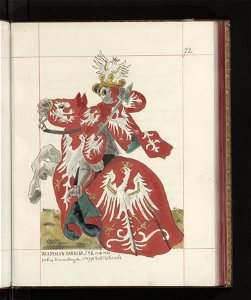 Bron zaczepna i odporna w Polsce. T. 3, Rynsztunki, bron palna, rzedy 1875-1900 (96019532)