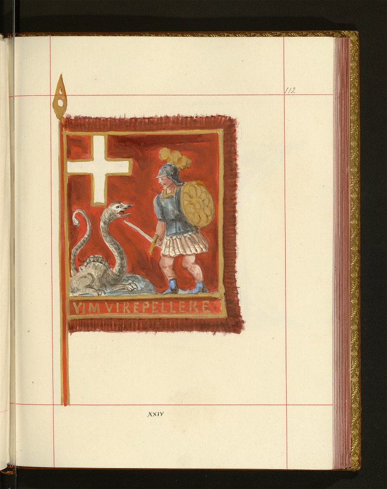 Bron zaczepna i odporna w Polsce. T. 4, Pasy lite, ozdoby, choragwie i proporce 1875-1900 (96514103)