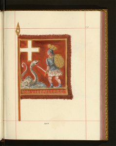 Bron zaczepna i odporna w Polsce. T. 4, Pasy lite, ozdoby, choragwie i proporce 1875-1900 (96514103)