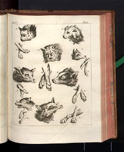 Costume des anciens peuples. T. 2 1774 (790816)