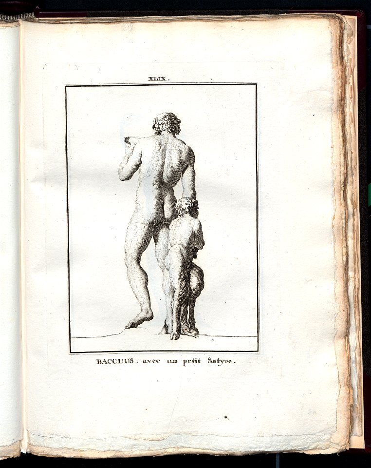 Le Museum de Florence 1787 (8163086)