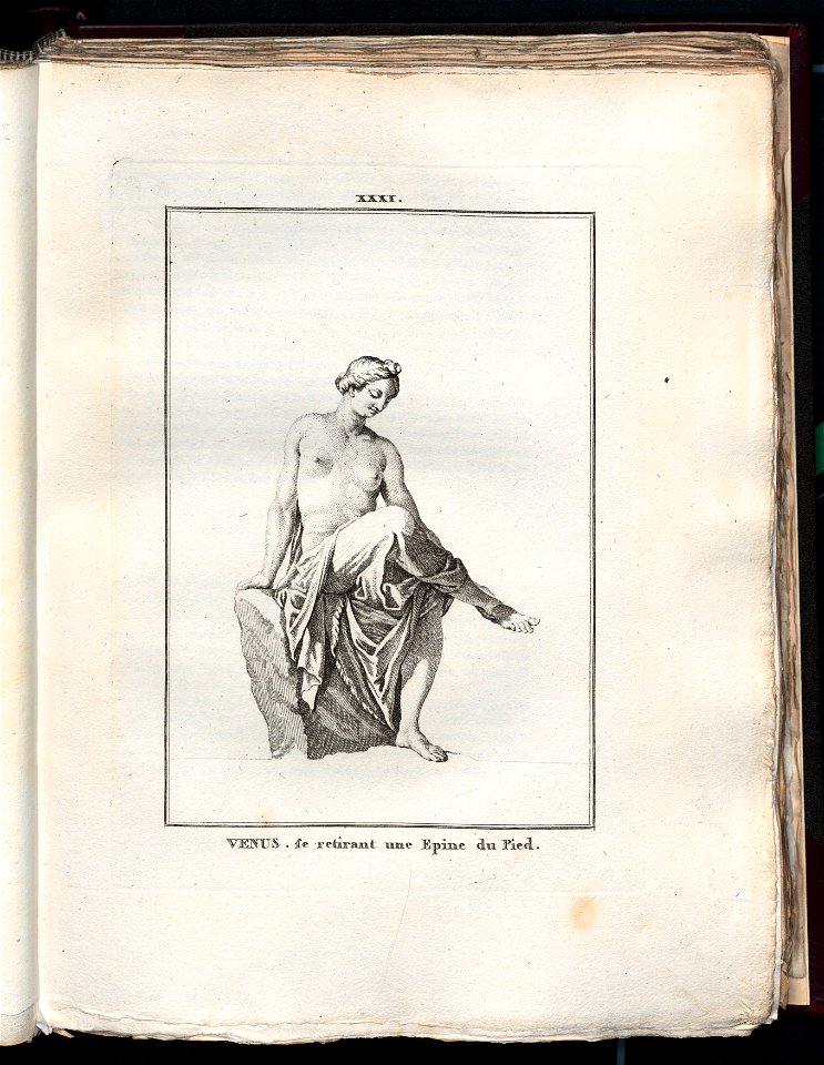 Le Museum de Florence 1787 (8162923)