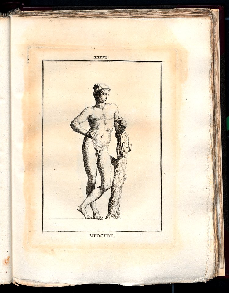 Le Museum de Florence 1787 (8162967)