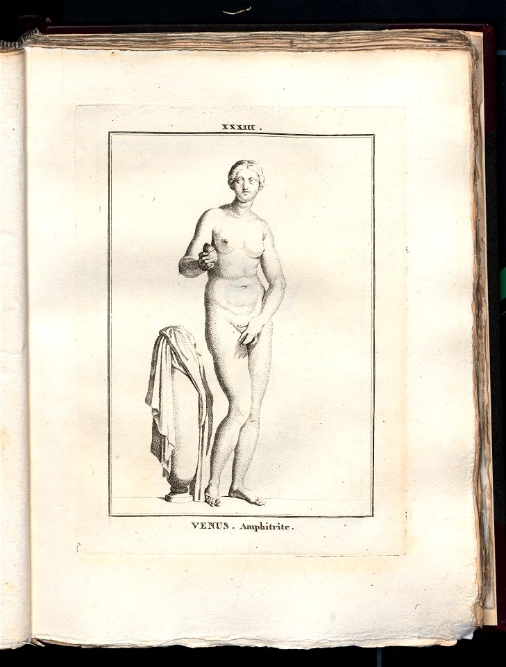 Le Museum de Florence 1787 (8162945)