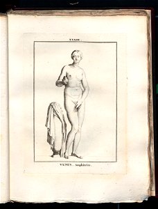 Le Museum de Florence 1787 (8162945)