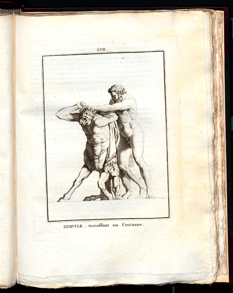 Le Museum de Florence 1787 (8163139)