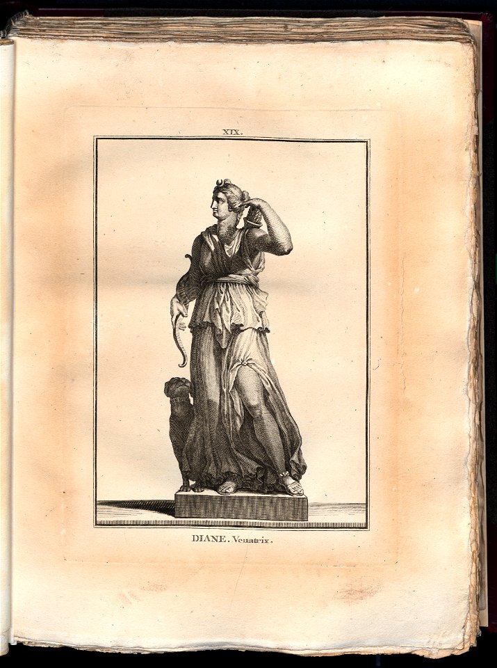 Le Museum de Florence 1787 (8162681)