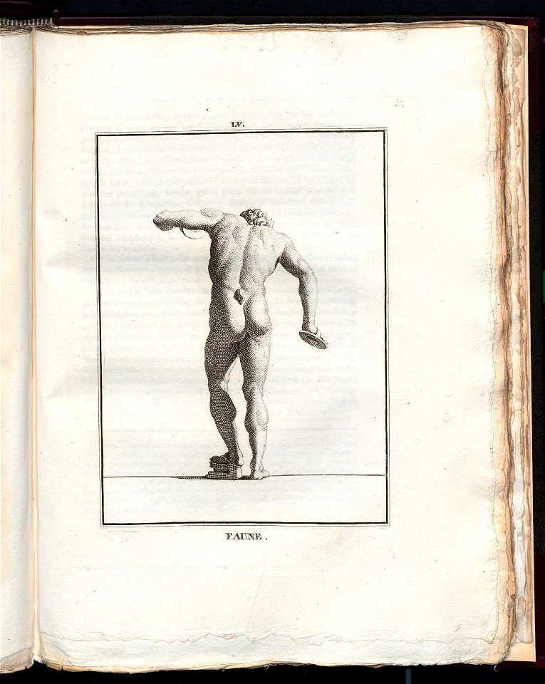 Le Museum de Florence 1787 (8163117)