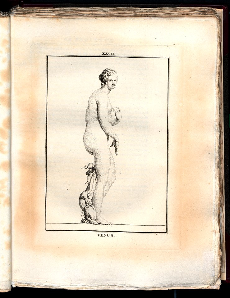 Le Museum de Florence 1787 (8162843)