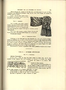 L'Armee du Duche de Varsovie 1913 (9985177)