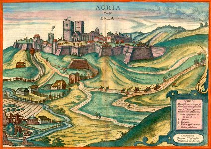 Agria vulgo Erla