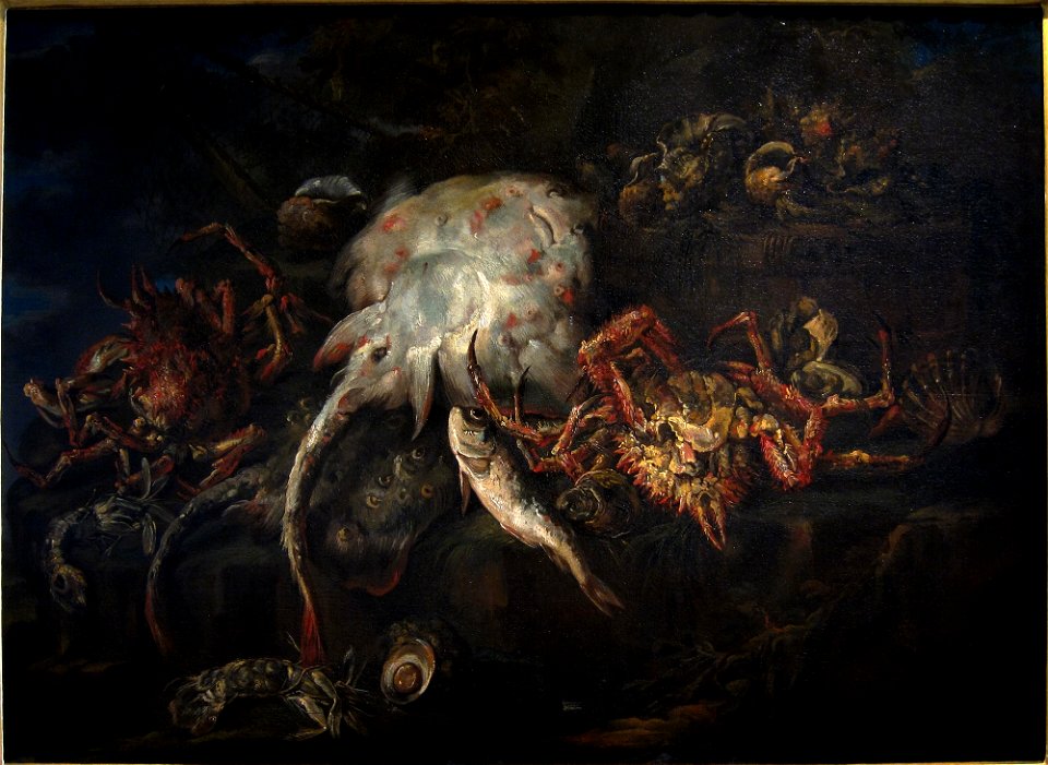 Ajaccio Boselli poissons araignees