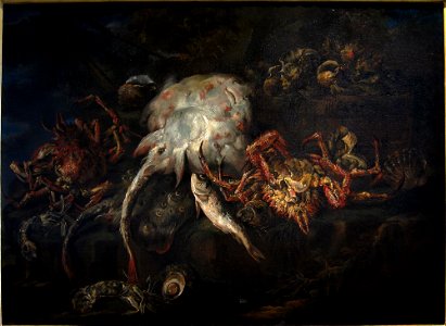 Ajaccio Boselli poissons araignees