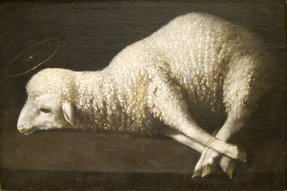 Agnus Dei (The Lamb of God) by Zurbarán, San Diego Museum of Art