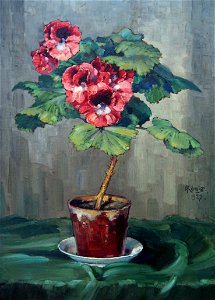 Albert König Blume im Topf 01