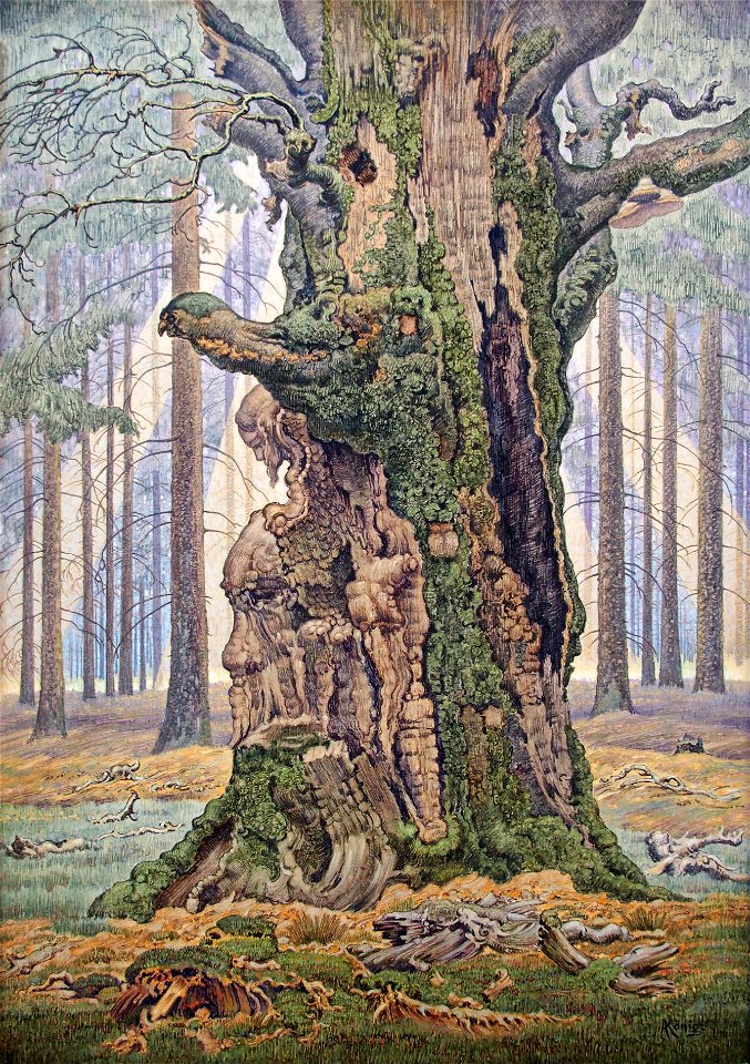 Albert König Heilige Buche 01