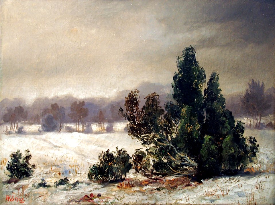 Albert König Wacholder im Schnee 01